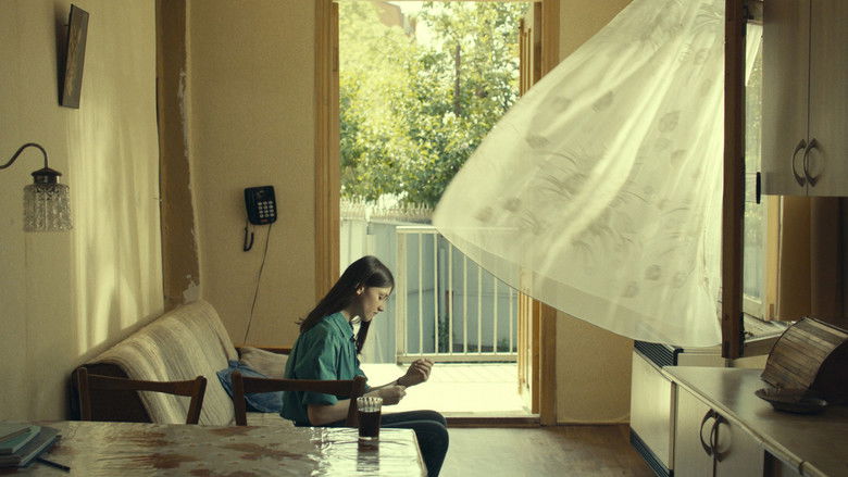 кадр из фильма Что мы видим, когда смотрим на небо?