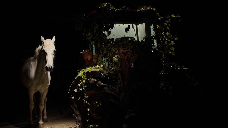 кадр из фильма Un perro ladra detrás del depósito