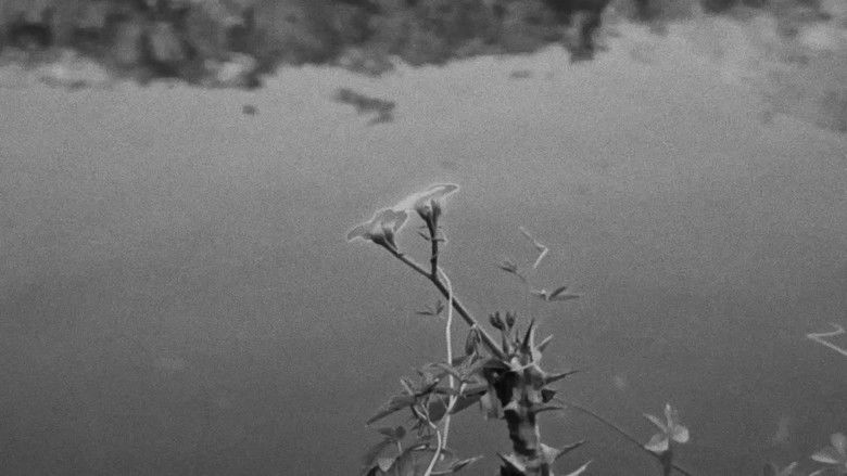 кадр из фильма “Quack”