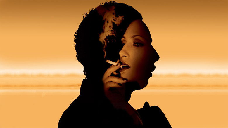 кадр из фильма Noel: Poeta da Vila