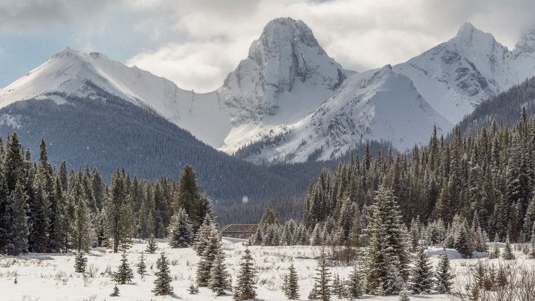 кадр из фильма Howl