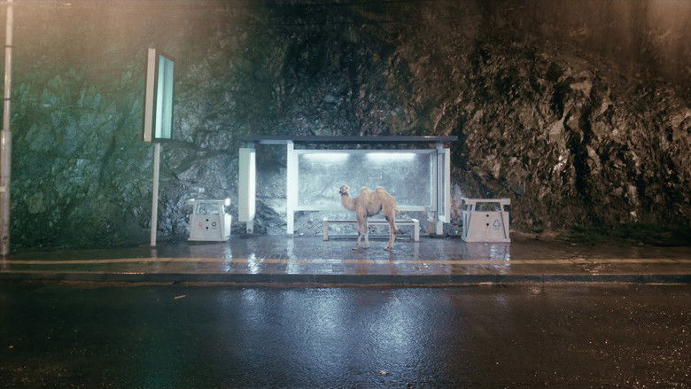 кадр из фильма Чимээгүй хотын жолооч