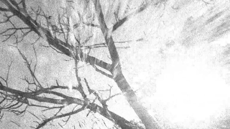 кадр из фильма Spectral Ascension