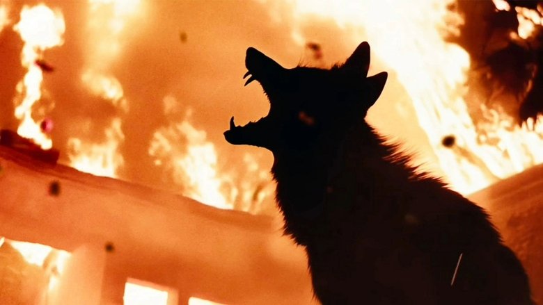 кадр из фильма Ночь койота