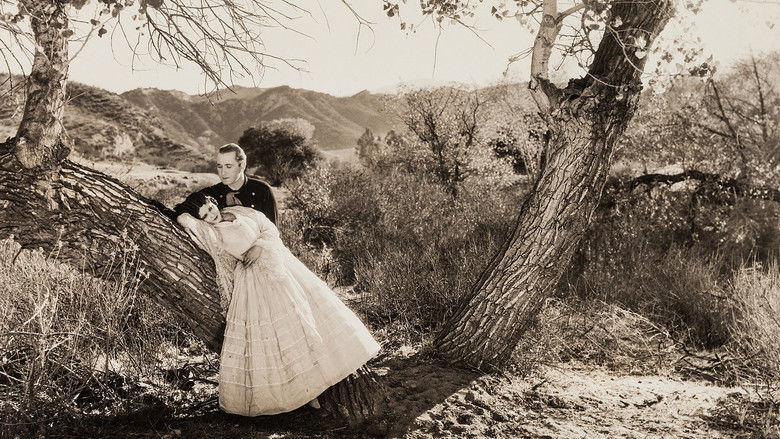 кадр из фильма The Desert Rider