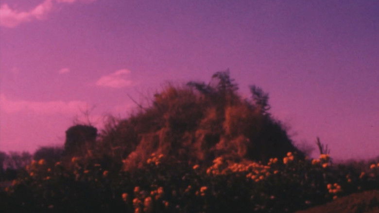 кадр из фильма In Heaven