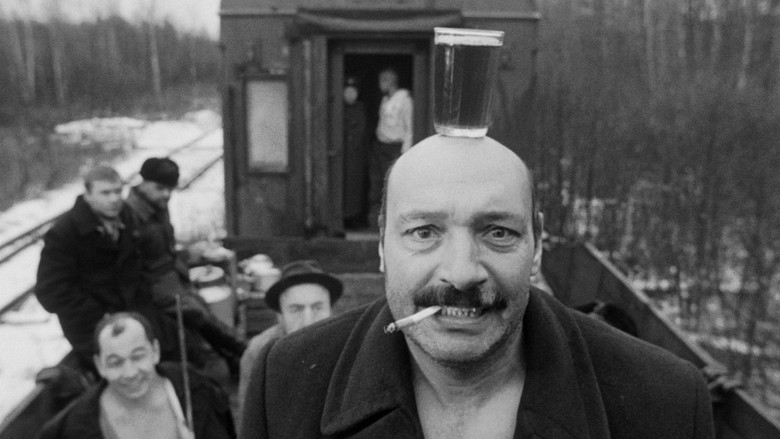 кадр из фильма Хрусталёв, машину!