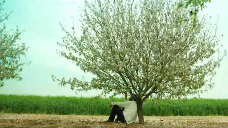 кадр из фильма מתת