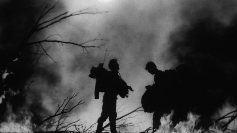 кадр из фильма Неотправленное письмо