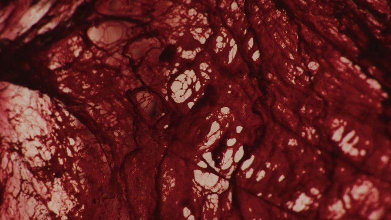 кадр из фильма in T