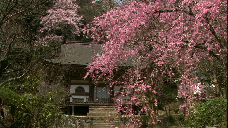 кадр из фильма Virtual Trip Sakura Nostalgia