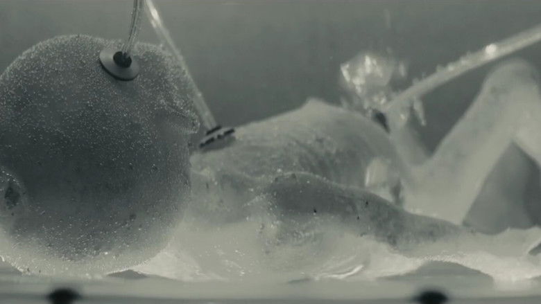 кадр из фильма Alpha: Omega