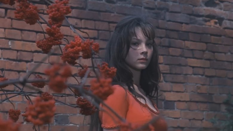 Мой ласковый и нежный зверь