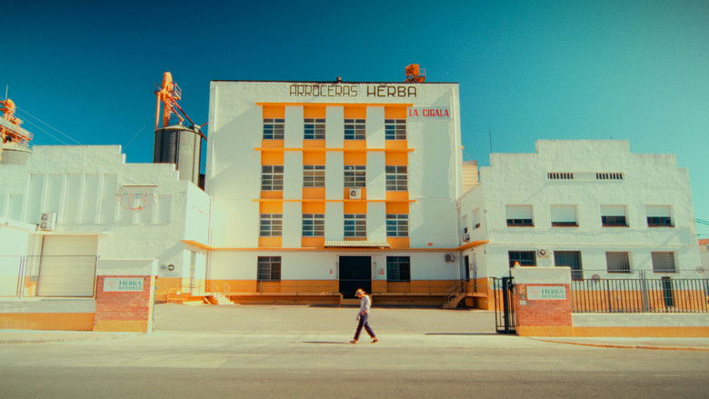 кадр из фильма La invasió dels ultra-arrossos