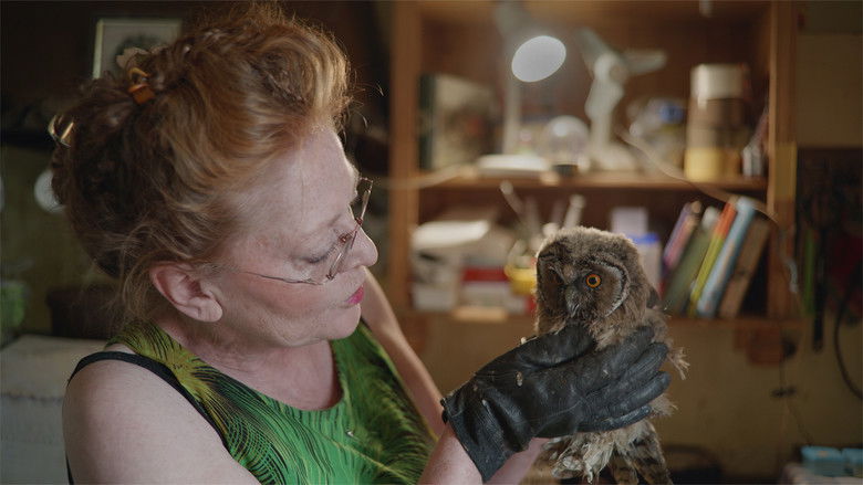 кадр из фильма Finde Vogel