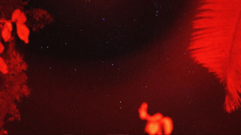 кадр из фильма Забытая память деревьев