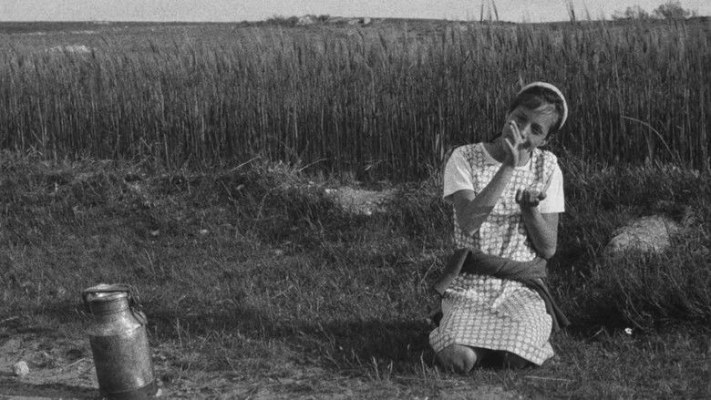 Los motivos de Berta