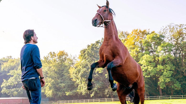 кадр из фильма 2 unter Millionen