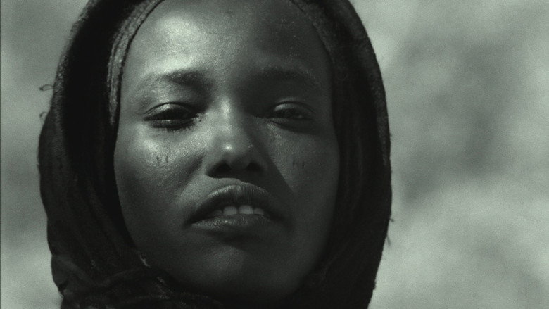 кадр из фильма Tibesti Too