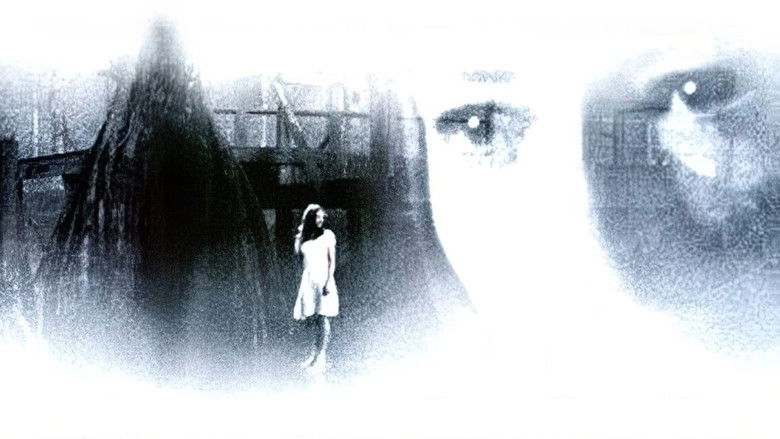 кадр из фильма Дар