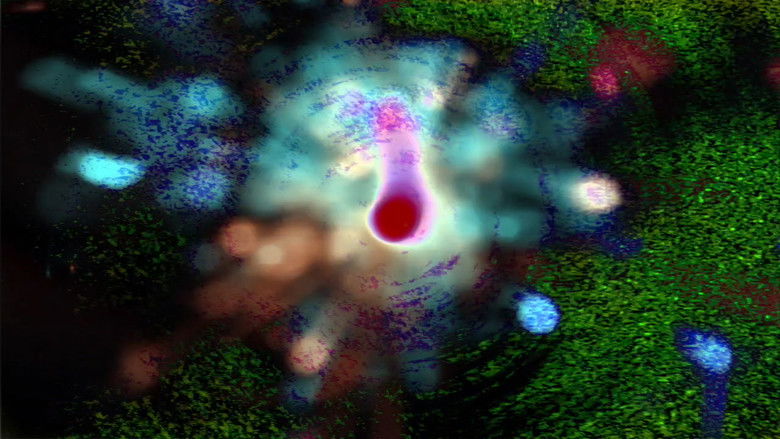 кадр из фильма An Instruction for Creating Magenta