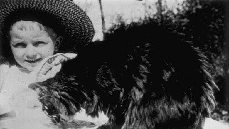 кадр из фильма Déjeuner du Chat