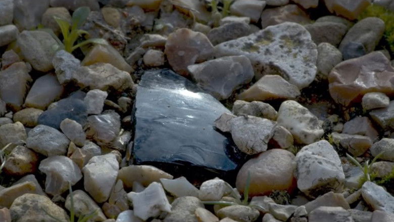 кадр из фильма Detail