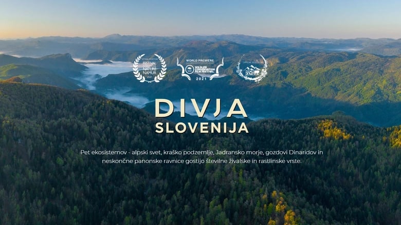 кадр из фильма Divja Slovenija