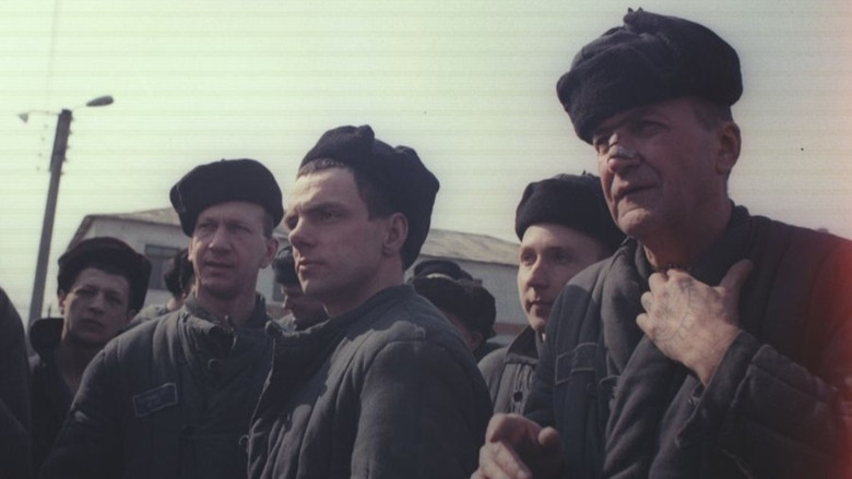 кадр из фильма Беспредел