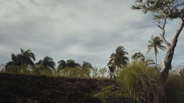 кадр из фильма Papa Machete