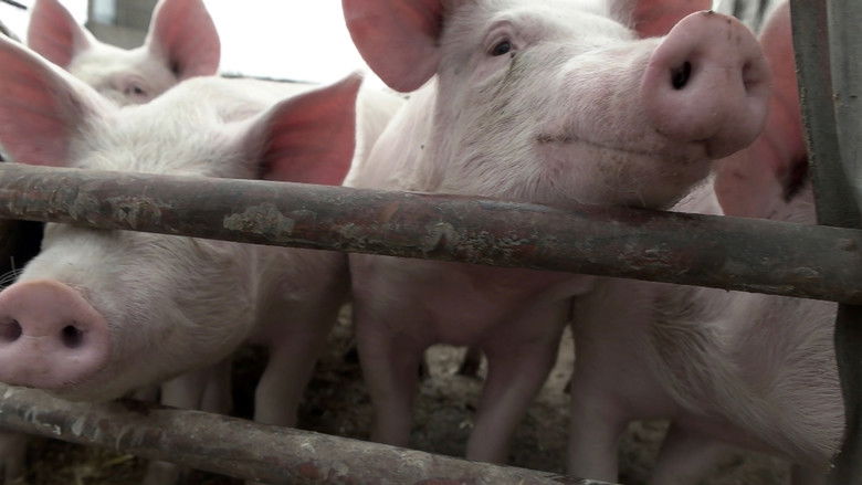 кадр из фильма Soyalism