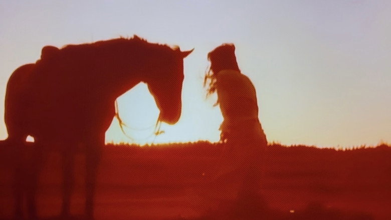 кадр из фильма 馬と女と犬