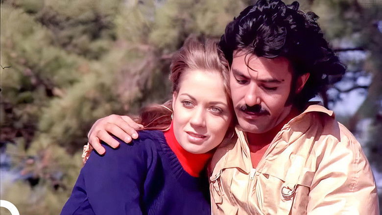 кадр из фильма Benim Gibi Sevenler