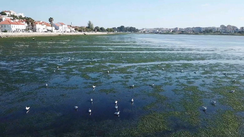 кадр из фильма Mar Urbano Lisboa