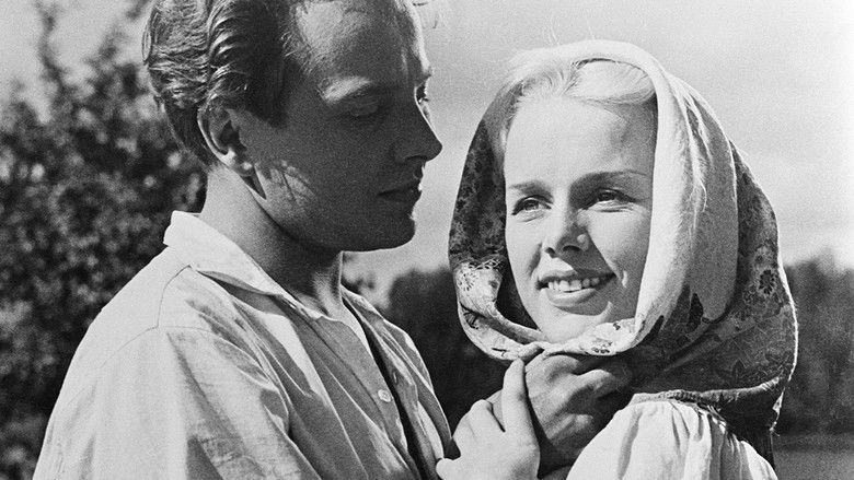 кадр из фильма Orpopojan valssi