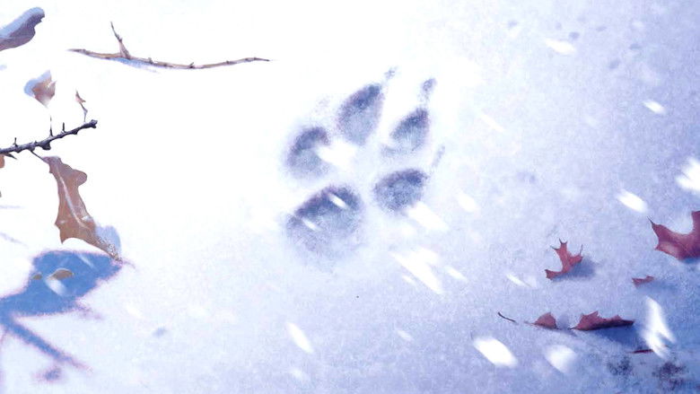 кадр из фильма Белый клык