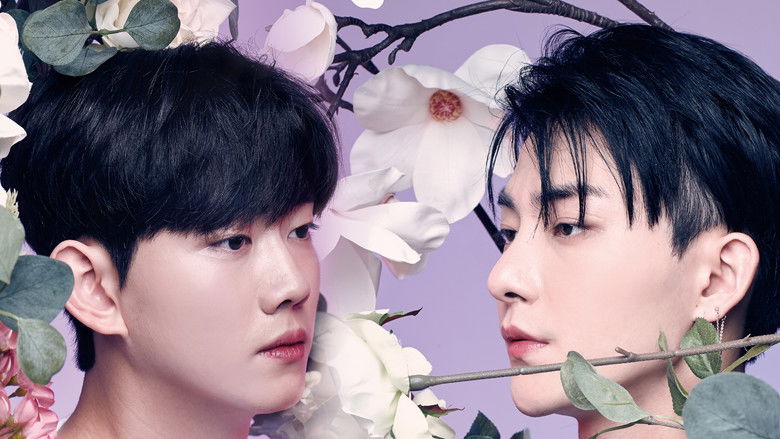 кадр из фильма 컬러러쉬