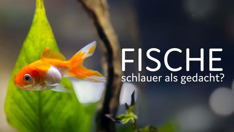 кадр из фильма Des poissons, pas si cons ?