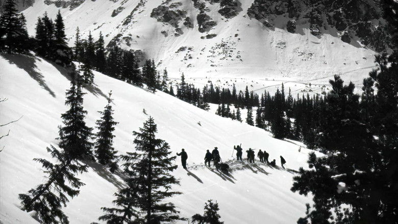 кадр из фильма Голубой крест