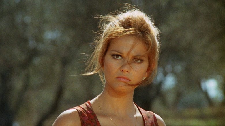 Сова появляется днём