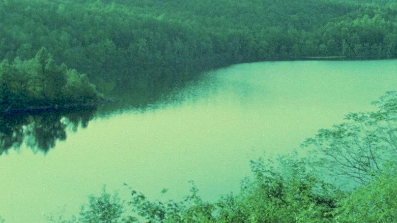 кадр из фильма The Winter There Was Very Little Snow