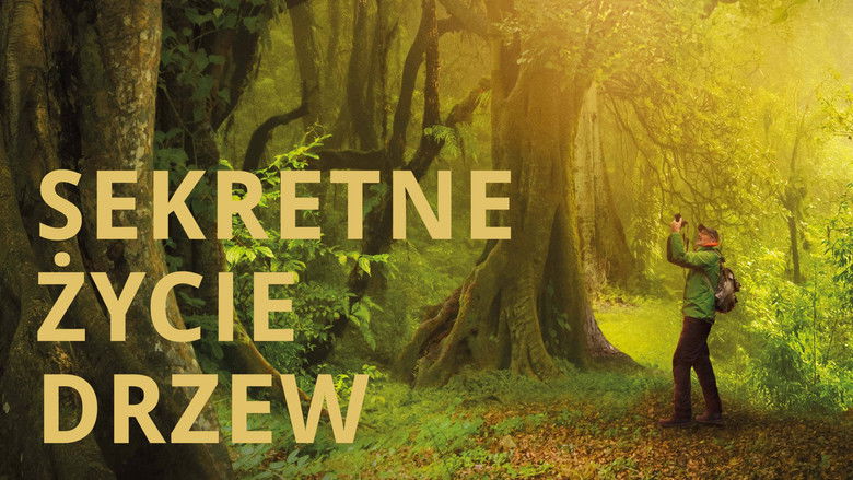 кадр из фильма Das geheime Leben der Bäume