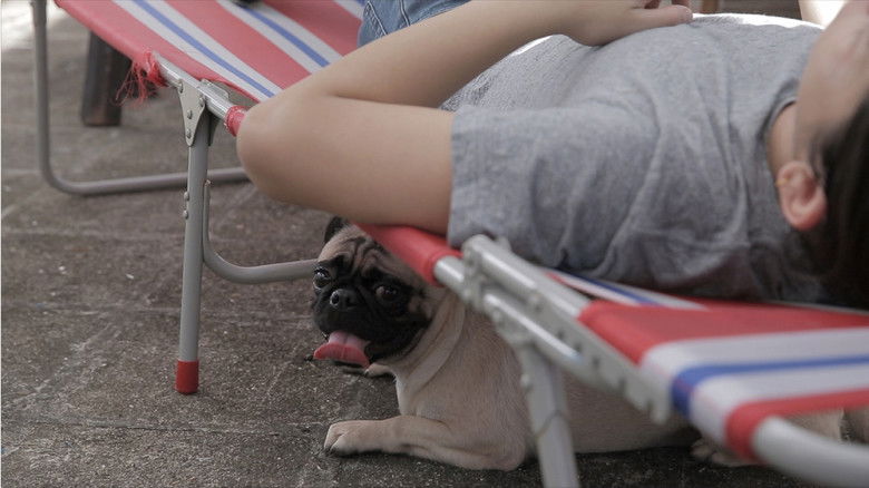 кадр из фильма 不來不去