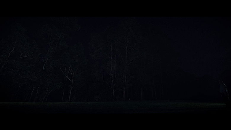 кадр из фильма Little Star