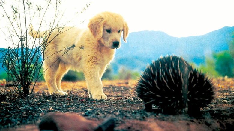 кадр из фильма Napoleon