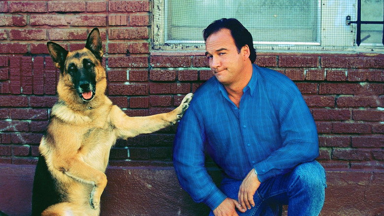 кадр из фильма К-911