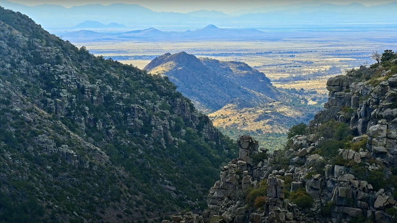 кадр из фильма Arizona