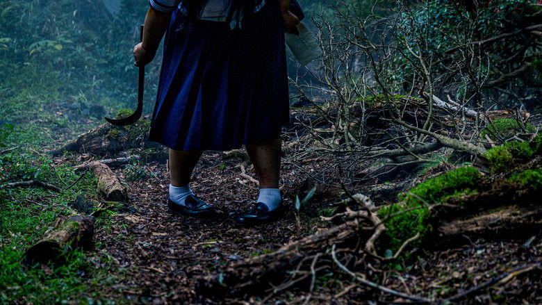 кадр из фильма 禍禍女