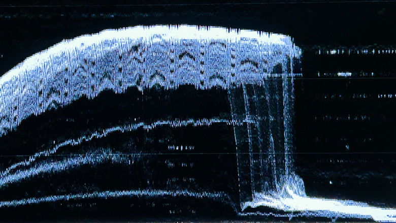 кадр из фильма Backrooms