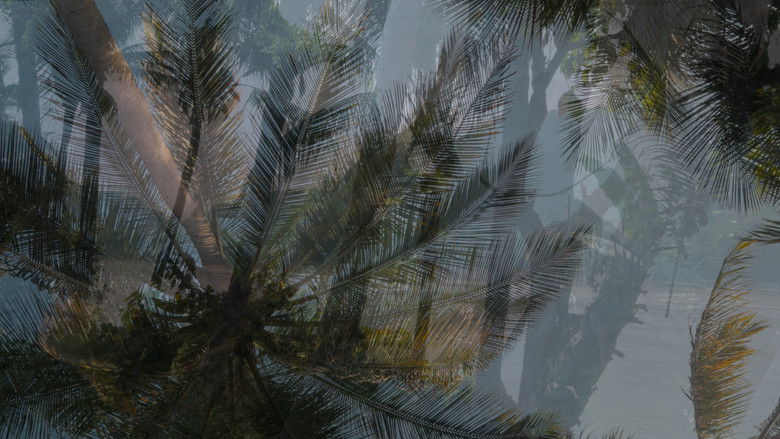 кадр из фильма cada vez me cuesta más regresar de allí...